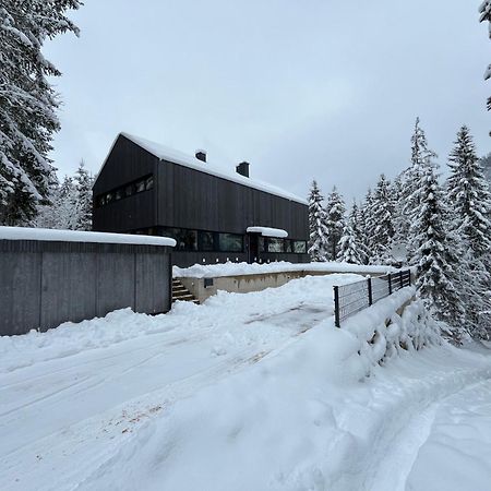 Chalet Dachstein رامساو أم داتشستين المظهر الخارجي الصورة