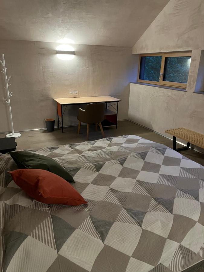 Chalet Dachstein رامساو أم داتشستين المظهر الخارجي الصورة