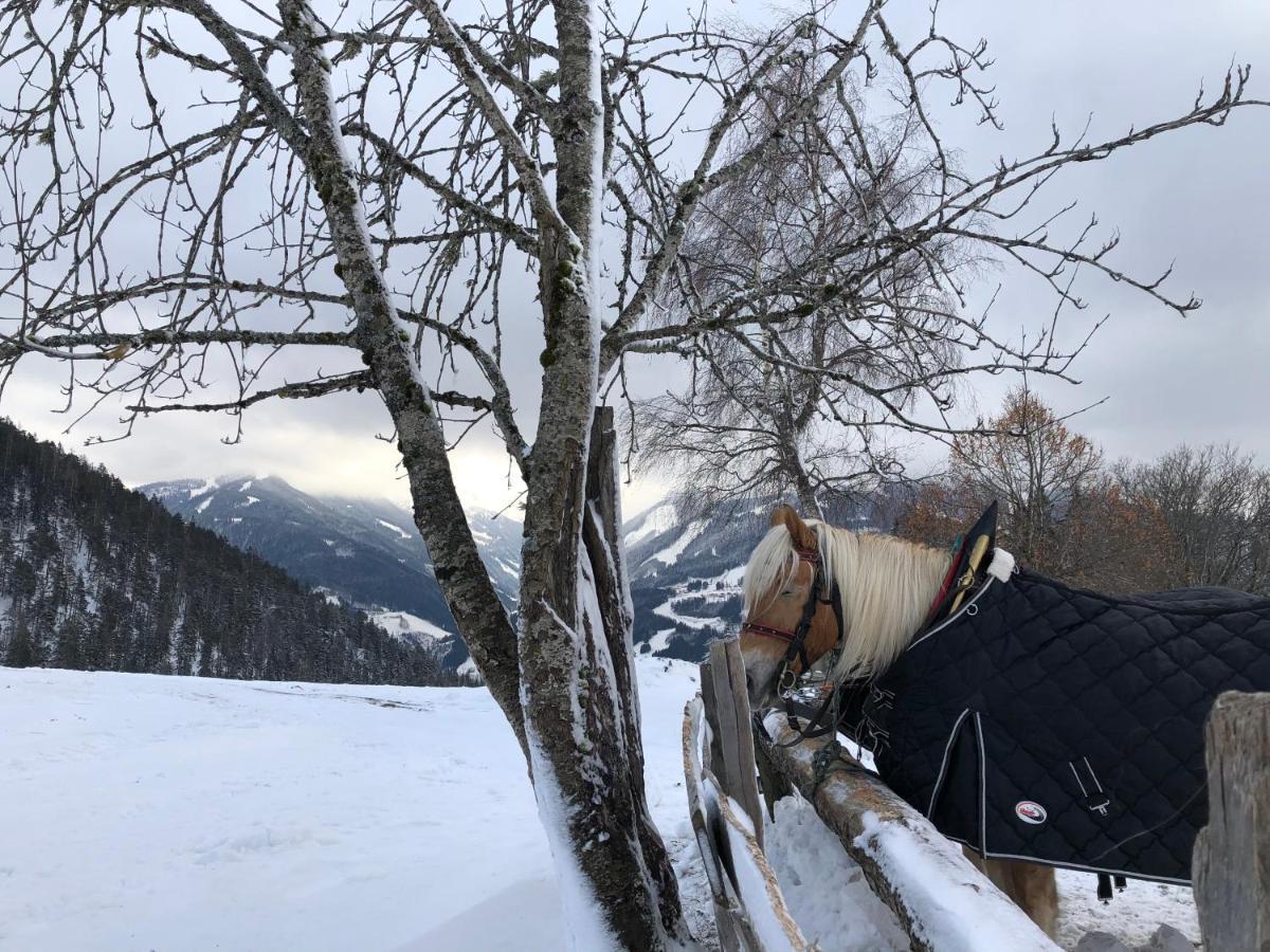 Chalet Dachstein رامساو أم داتشستين المظهر الخارجي الصورة