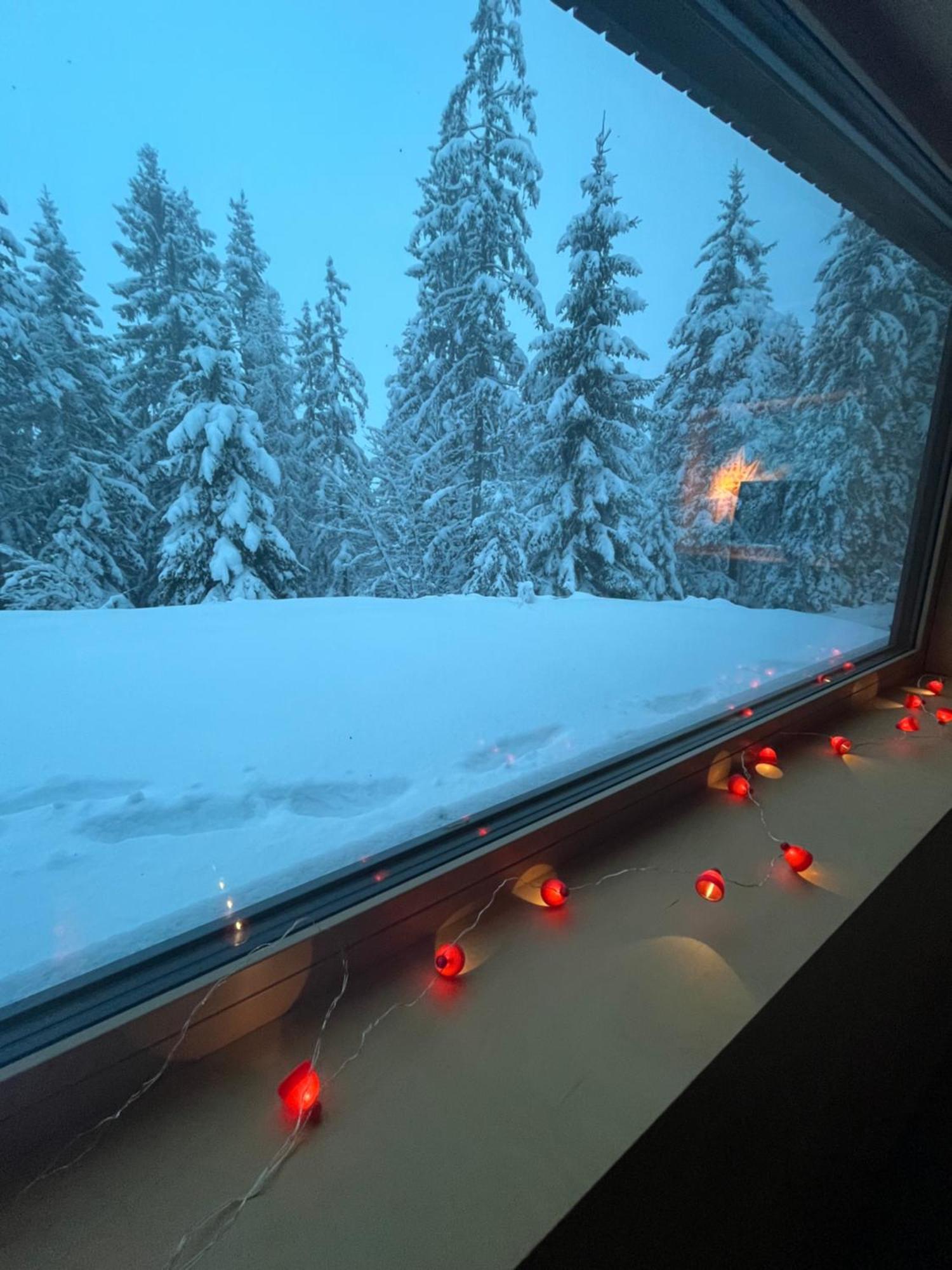 Chalet Dachstein رامساو أم داتشستين المظهر الخارجي الصورة